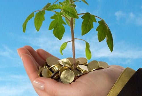 Ikuti Rumus MONEYTREE dan Anda akan Sejahtera #2