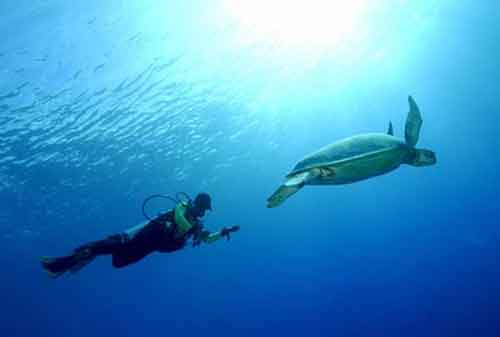 Asyiknya, Liburan ke Pulau Derawan nan Menawan 05 - Finansialku