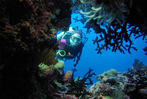 Save Your Trip! Liburan Terbaik di Pulau Wakatobi 04 - Finansialku