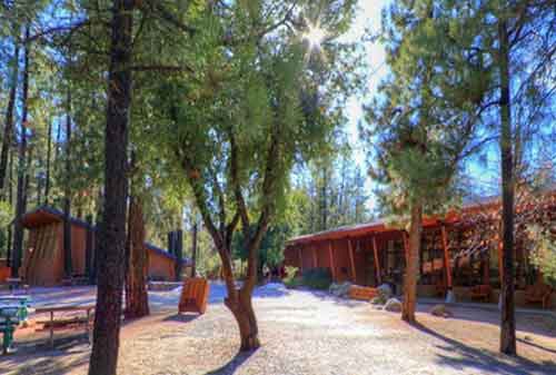 10 Sekolah Termahal di Dunia, Wow! 1 Tahun Rp1,3 Miliar 05 - Finansialku