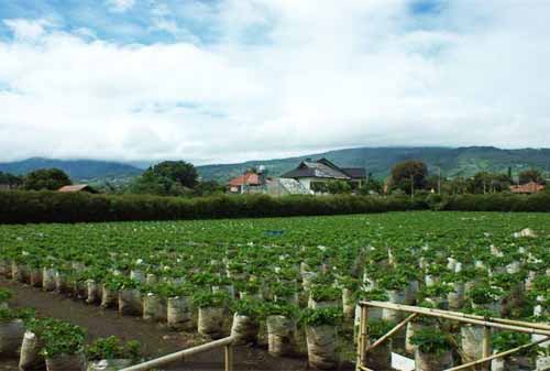 Tempat Wisata di Lembang