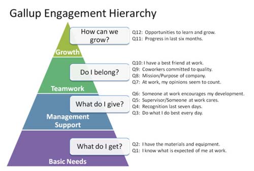 First Class Gallup Engagement 2019 Keeping Employees Engaged 