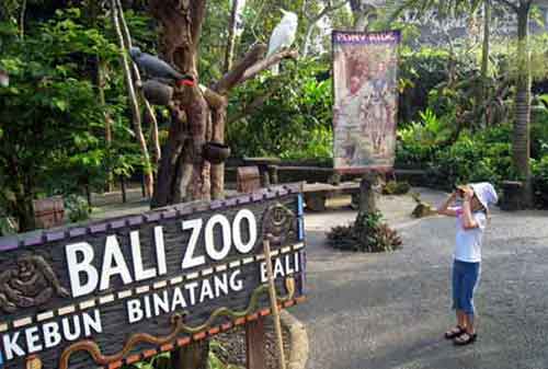 Wisata-di-Bali-04a-Kebun-Binatang-Bali-(Bali-Zoo)---Finansialku