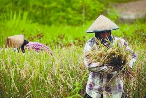 Reforma-Agraria-Melalui-Sertifikasi-Tanah-Ala-Jokowi-5-Finansialku