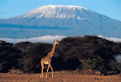 Tempat Wisata yang Akan Hilang Dari Muka Bumi 01 Gunung Kilimanjaro - Finansialku