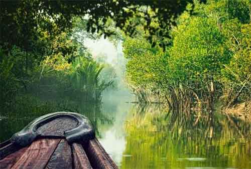 Tempat Wisata yang Akan Hilang Dari Muka Bumi 04 The Sundarbans - Finansialku