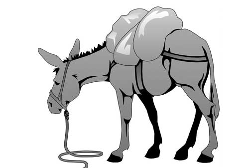 Dongeng Keuangan dari Cerita Anak Kuda dan Keledai yang Sarat dengan Beban 02 Keledai - Finansialku