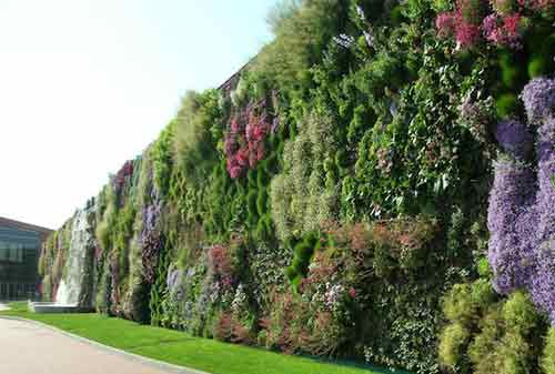 Dekorasi Taman 04 (Vertical Garden) - Finansialku