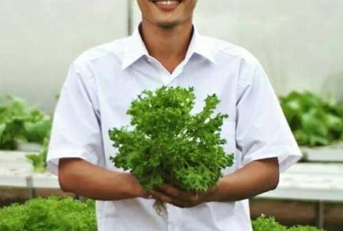 Tips dan Trik Sukses Memulai Usaha Agribisnis yang Patut Anda Coba 07 Usaha Agribisnis Lahan Sempit 6 - Finansialku