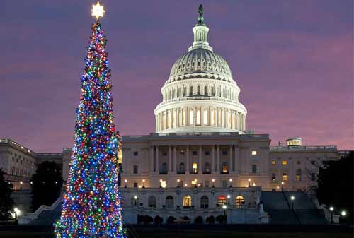 Pohon Natal 06 (Washington DC Capitol Christmas Tree) - Finansialku