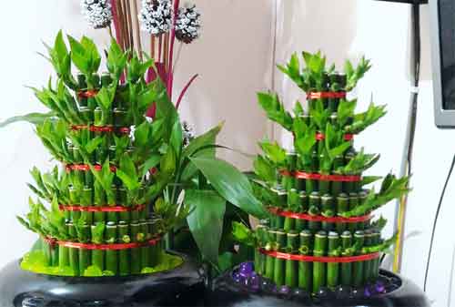 Harmoni Di Balik Kesuksesan Bisnis Lucky Bamboo Sukabumi 02 - Finansialku