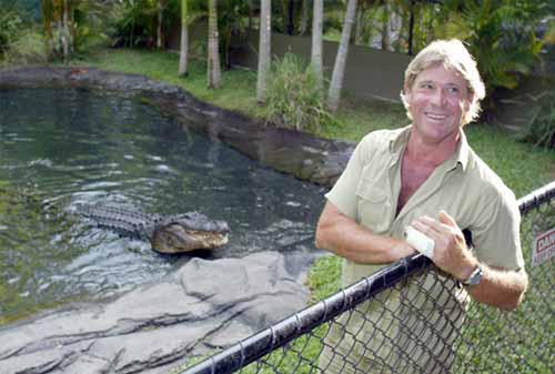 Kata-kata Motivasi Steve Irwin 03 - Finansialku