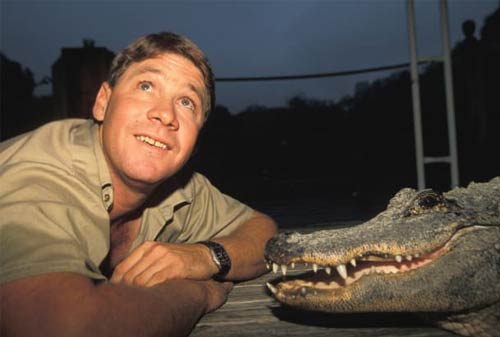 Kata-kata Motivasi Steve Irwin 04 - Finansialku