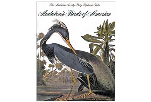 Buku Termahal Di Dunia 04 (Birds of America) - Finansialku