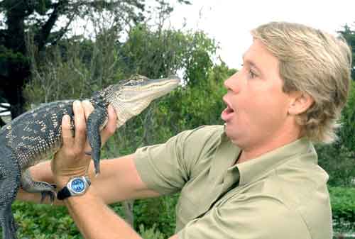 Kisah Sukses Steve Irwin, Sang Crocodile Hunter 02 - Finansialku