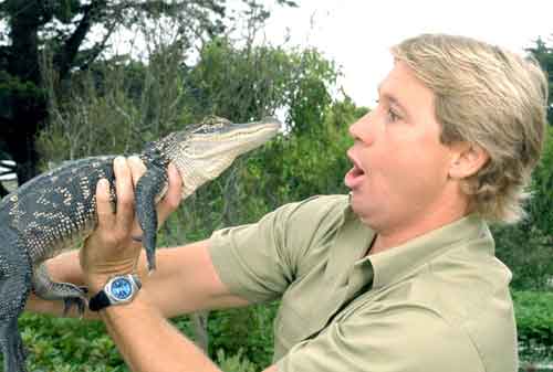 Kisah Sukses Steve Irwin, Sang Crocodile Hunter 02 - Finansialku