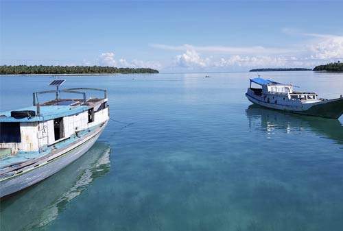 Contoh Kegiatan Ekonomi Masyarakat Di Daerah Pantai