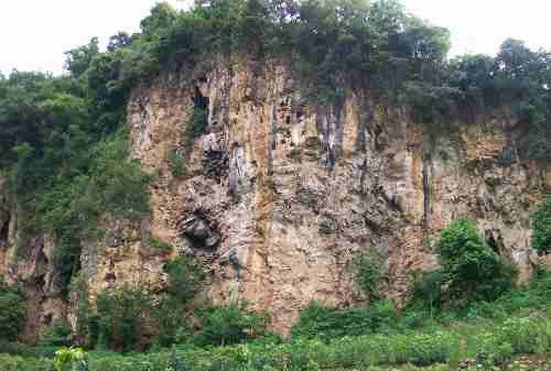 Lokasi Panjat Tebing 06 Tebing Kera Kabupaten Malang - Finansialku